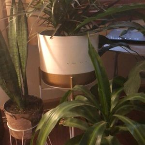 Meet your Posher, Lucy